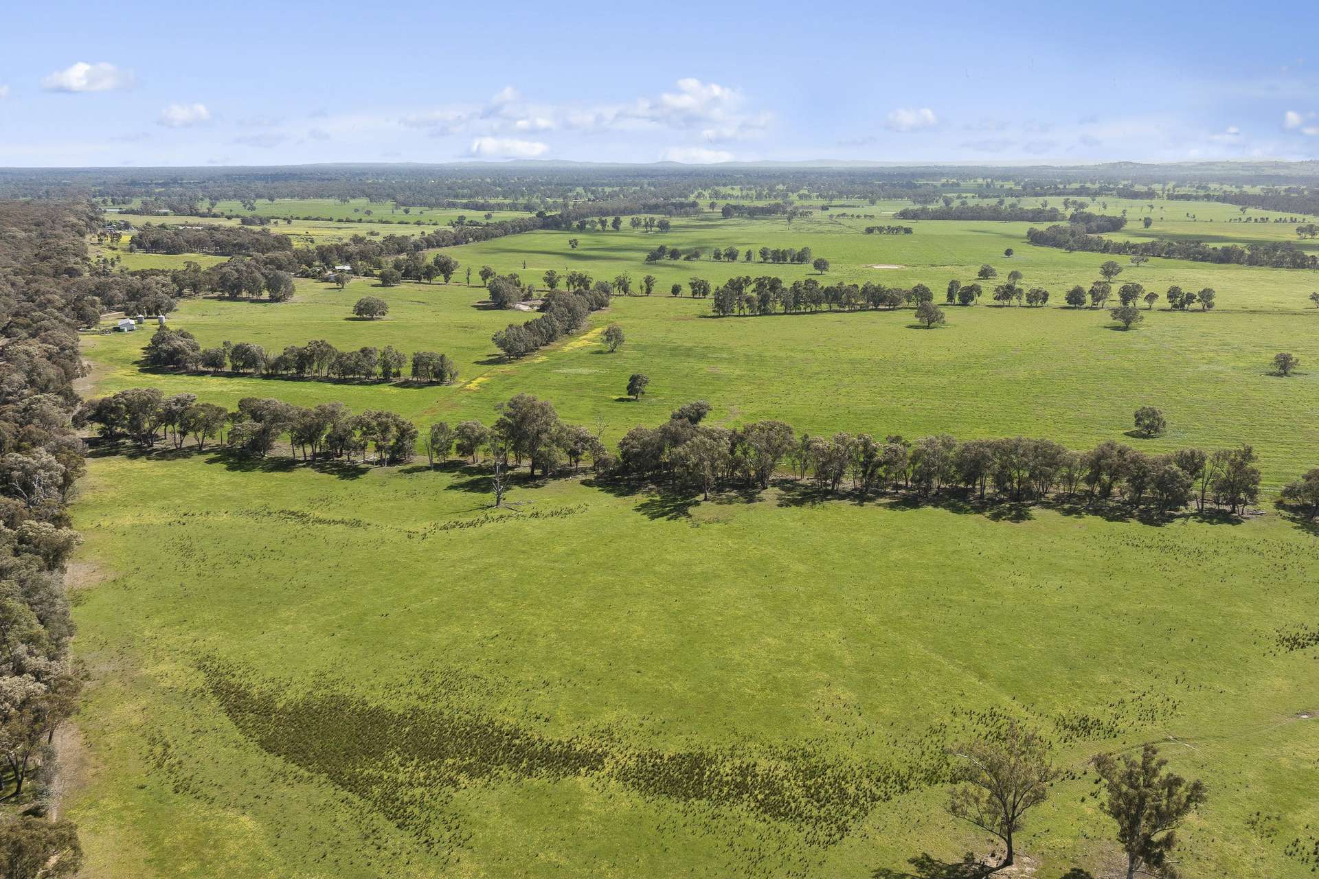 501 Knight Road, Benalla For Sale by Farmbuy.com - image 22
