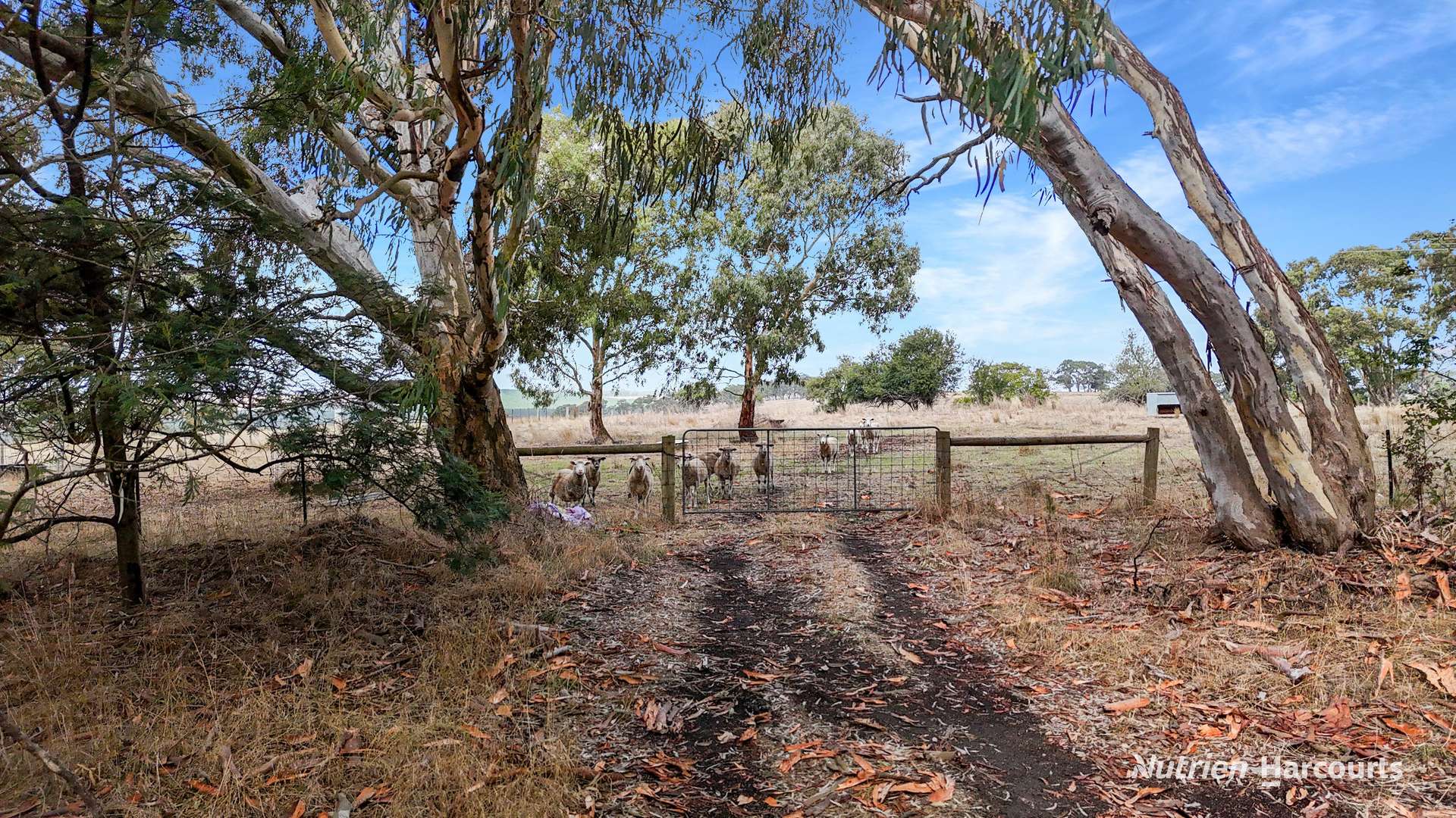 Lot 1 Old Mt Gambier Road, Casterton Sold by Farmbuy.com - image 3