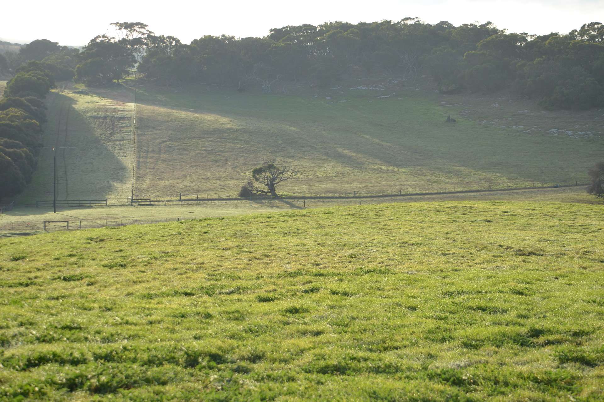 Southern Ports Highway, Mount Benson For Sale by Farmbuy.com - image 23