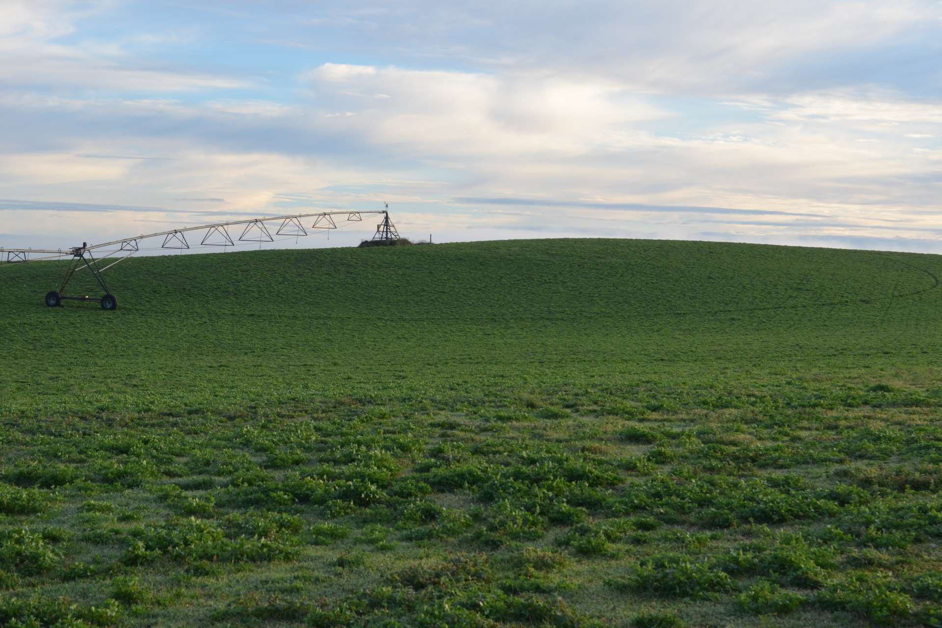 Southern Ports Highway, Mount Benson For Sale by Farmbuy.com - image 9