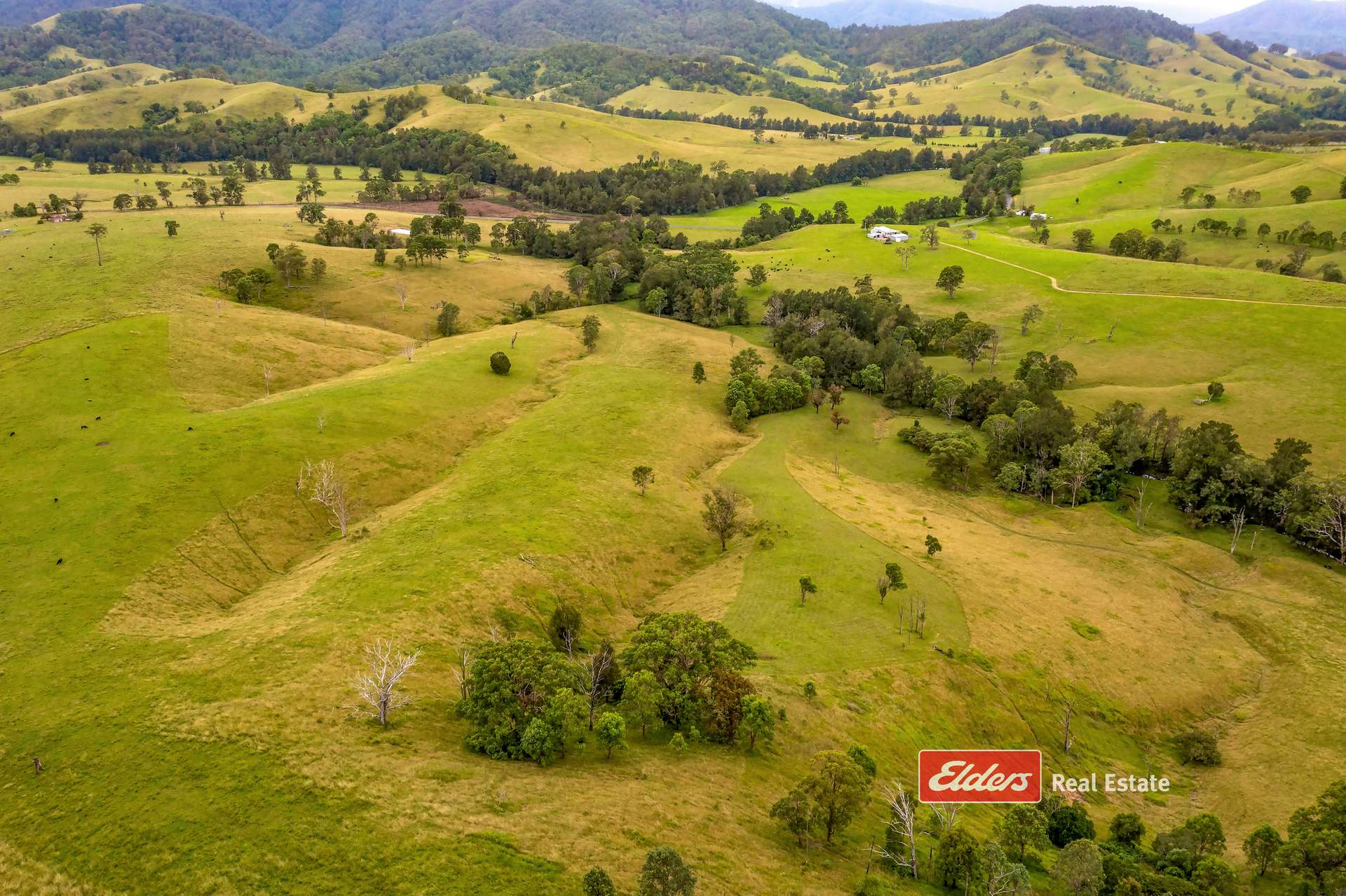 2121 Salisbury Road, Salisbury Via, Dungog For Sale by Farmbuy.com - image 13