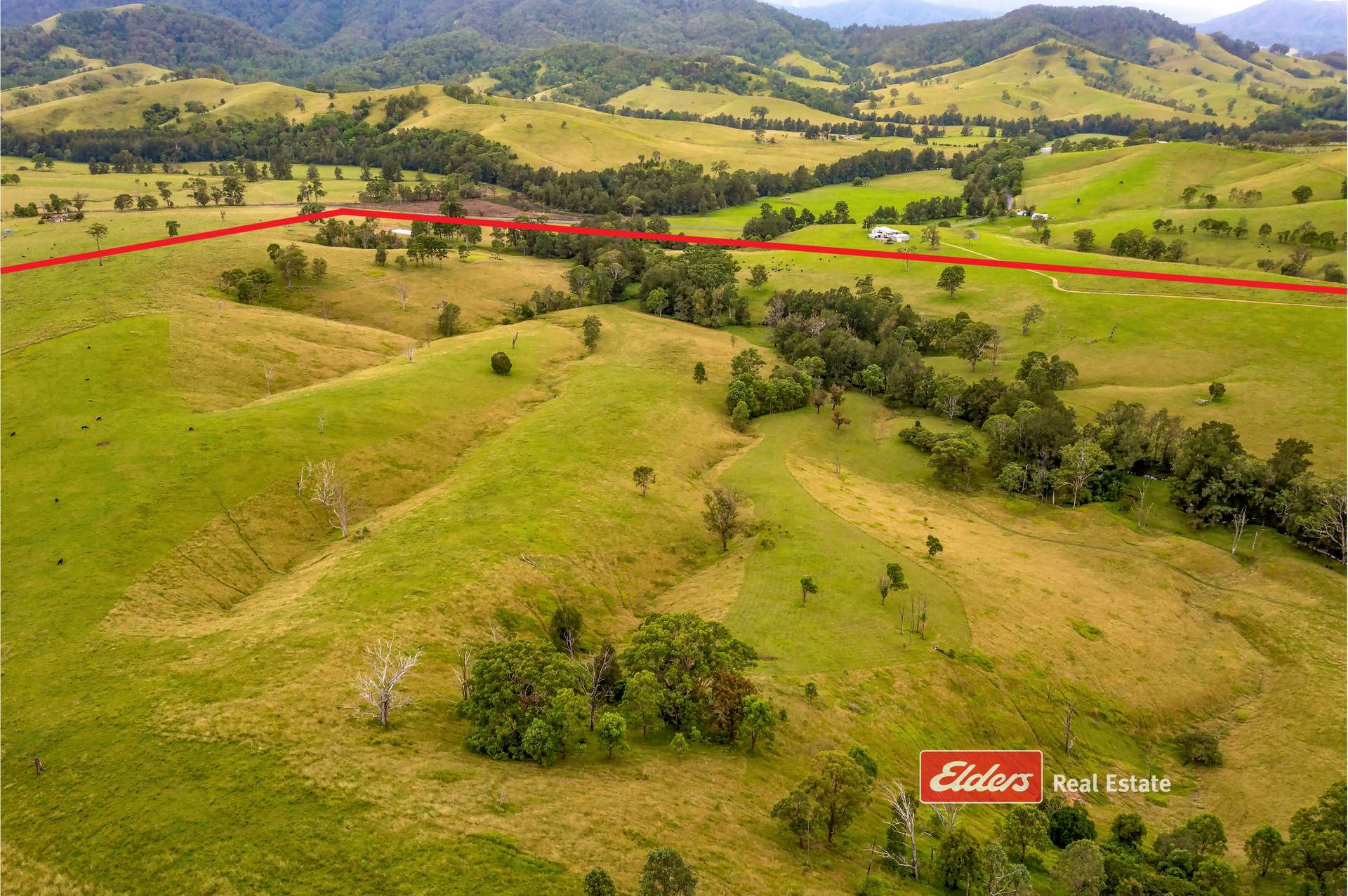 2121 Salisbury Road, Salisbury Via, Dungog For Sale by Farmbuy.com - image 15
