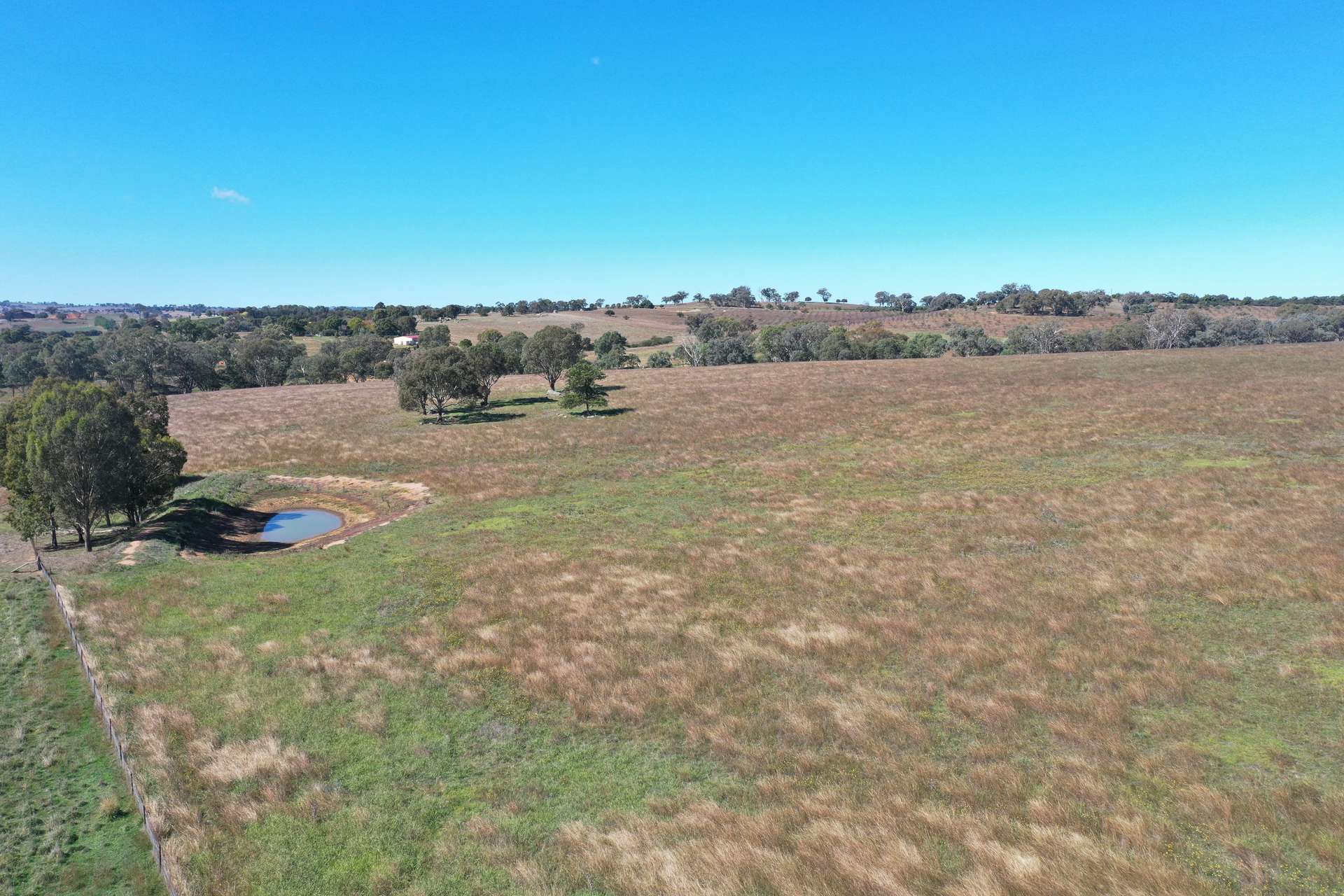 216 Good Friday Gully Road Maimuru Via, Young For Sale by Farmbuy.com - image 18
