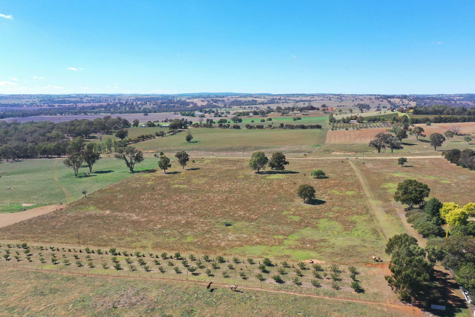 216 Good Friday Gully Road Maimuru Via, Young For Sale by Farmbuy.com - image 23