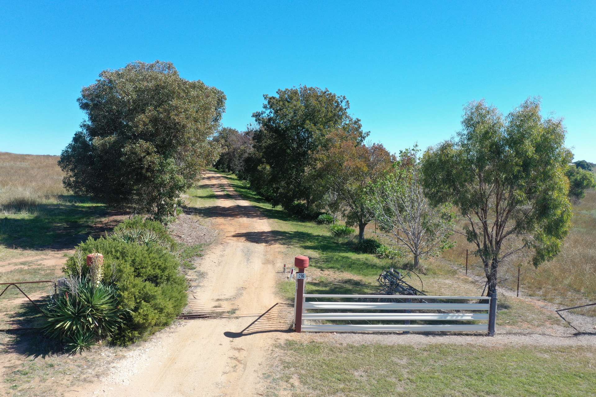 216 Good Friday Gully Road Maimuru Via, Young For Sale by Farmbuy.com - image 25