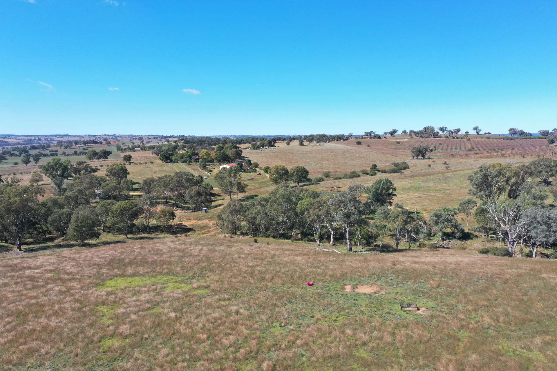 216 Good Friday Gully Road Maimuru Via, Young For Sale by Farmbuy.com - image 19
