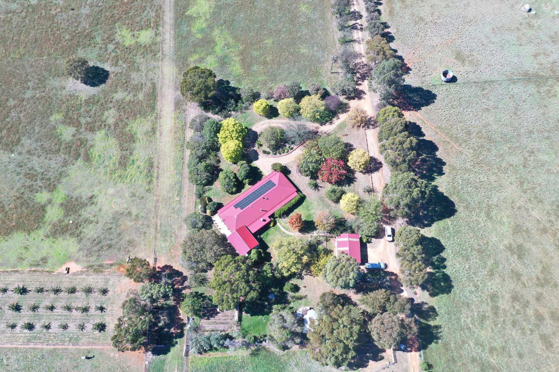 216 Good Friday Gully Road Maimuru Via, Young For Sale by Farmbuy.com - image 3