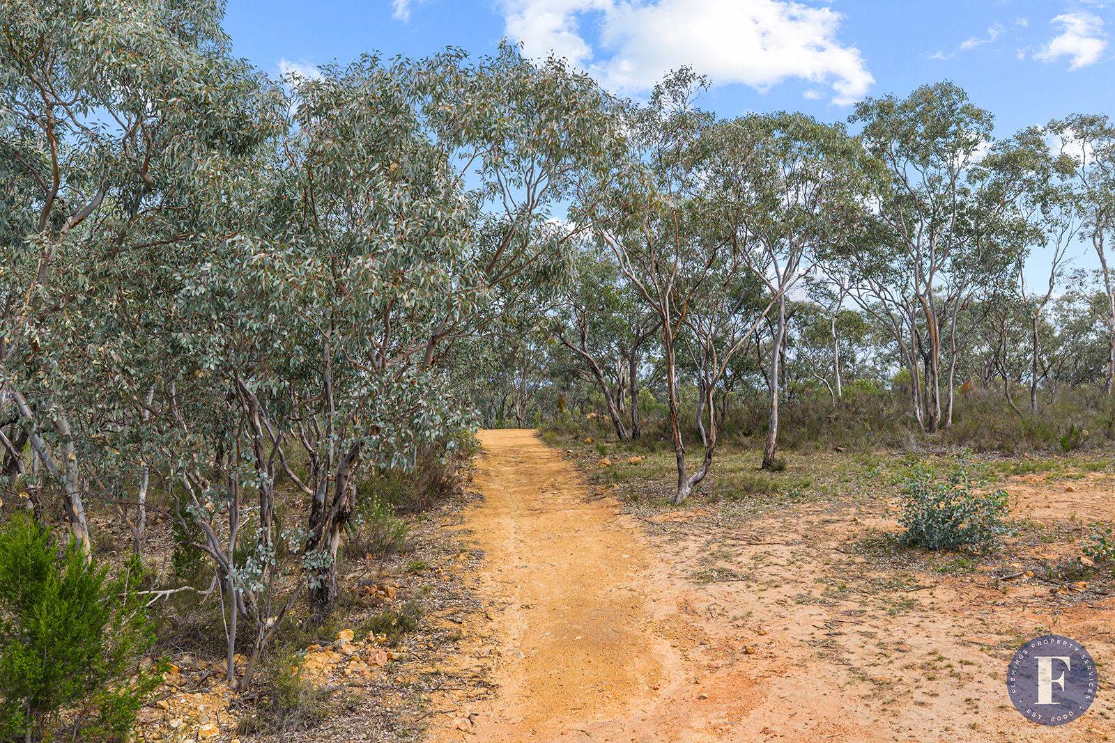 29 Caringa Road, Godfreys Creek For Sale by Farmbuy.com - image 14