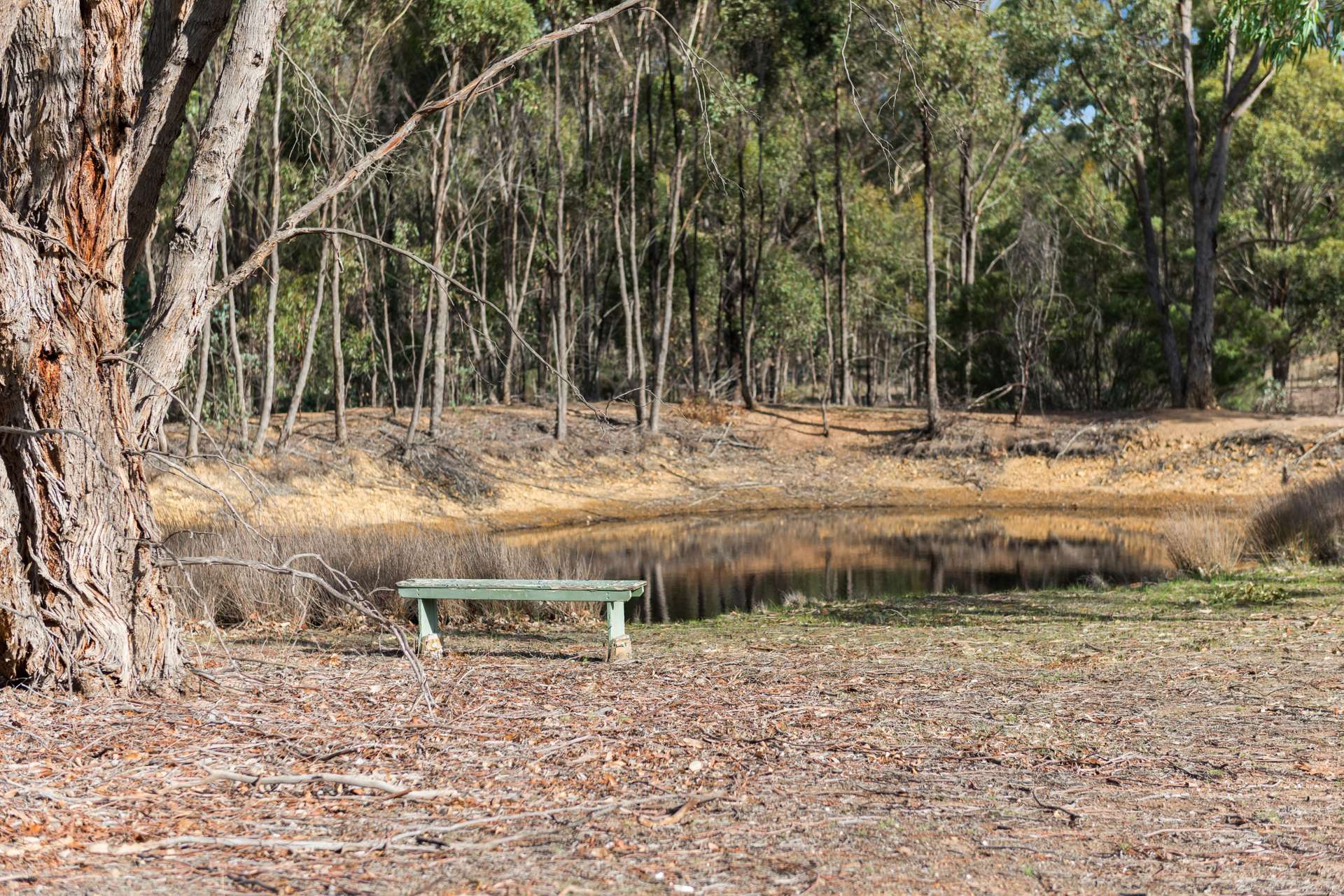 240 Heathcote Redesdale Road, Heathcote For Sale by Farmbuy.com - image 16