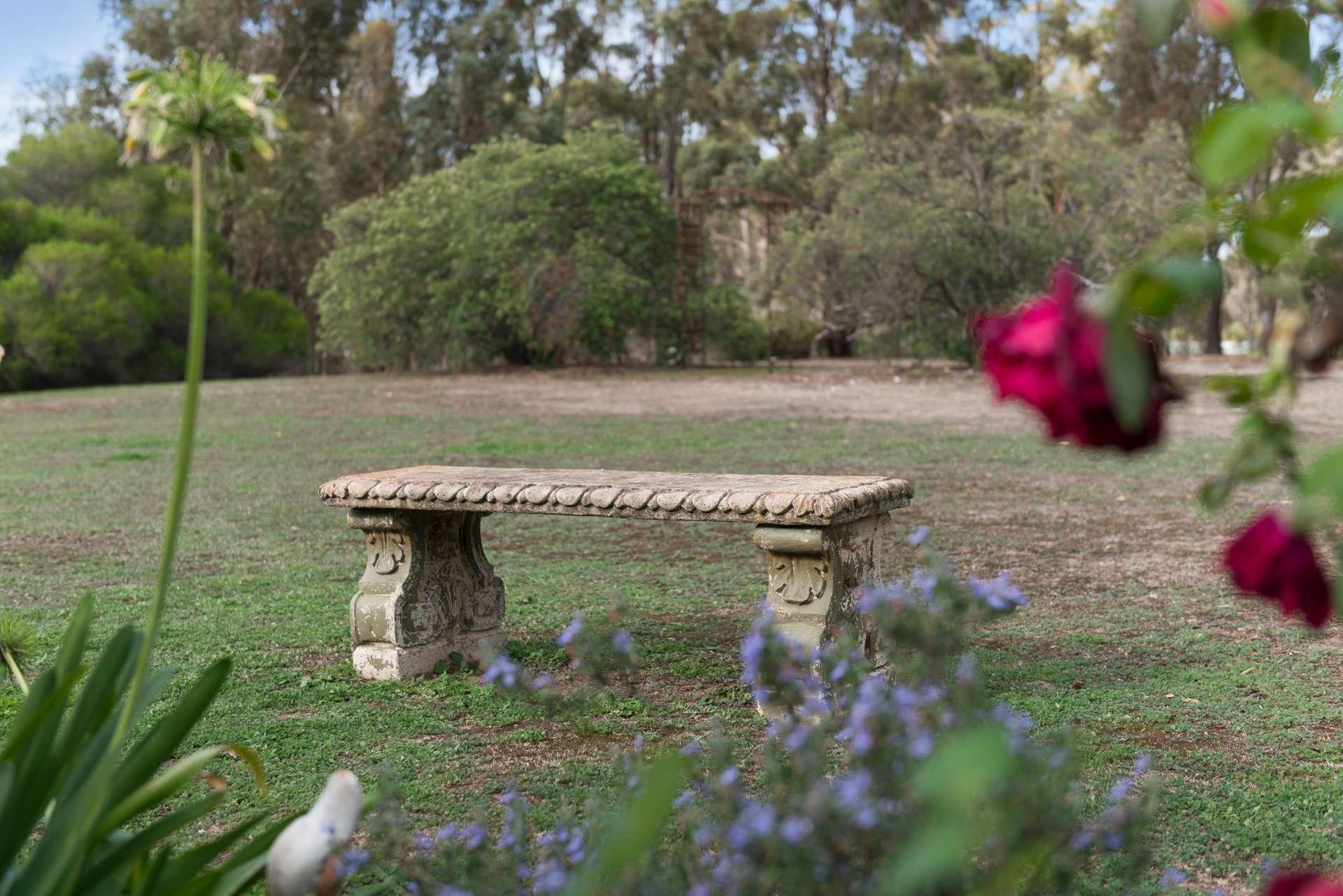240 Heathcote Redesdale Road, Heathcote For Sale by Farmbuy.com - image 13