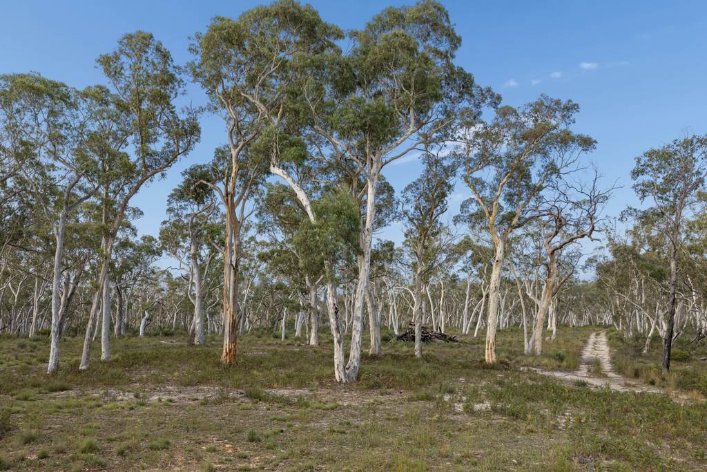 328 Wolgon Rd, Windellama NSW 2580