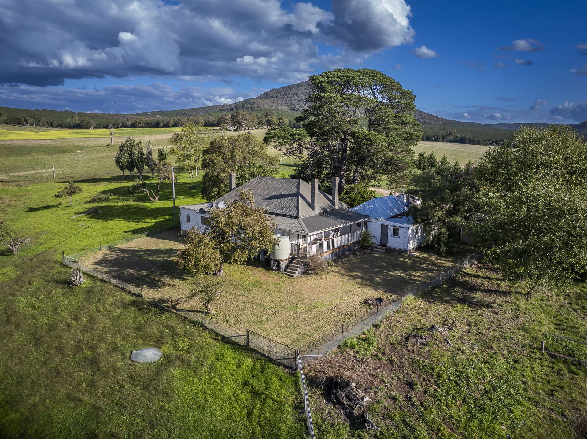 Tarana Auction by Farmbuy.com - image 16