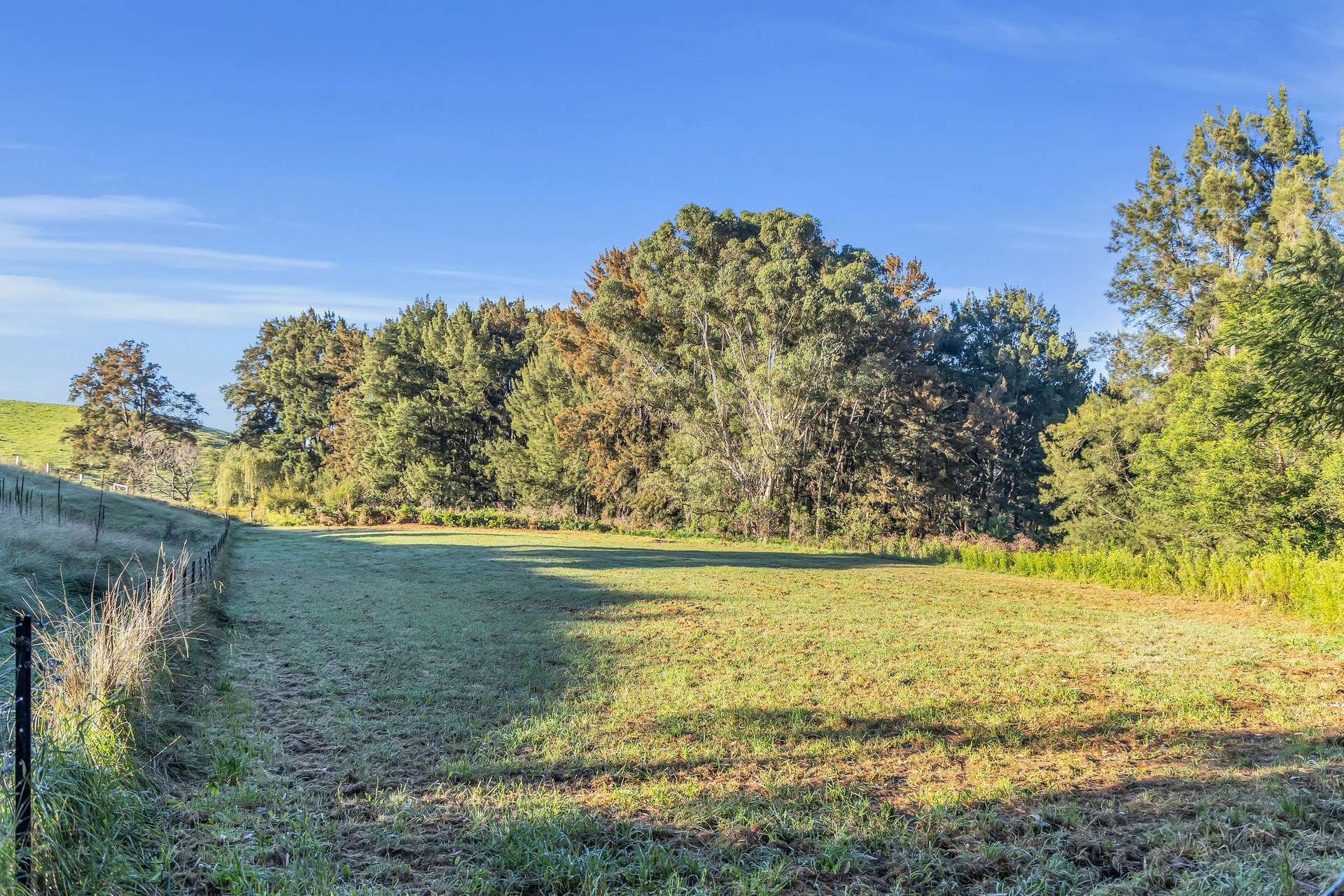 Bega For Sale by Farmbuy.com - image 25