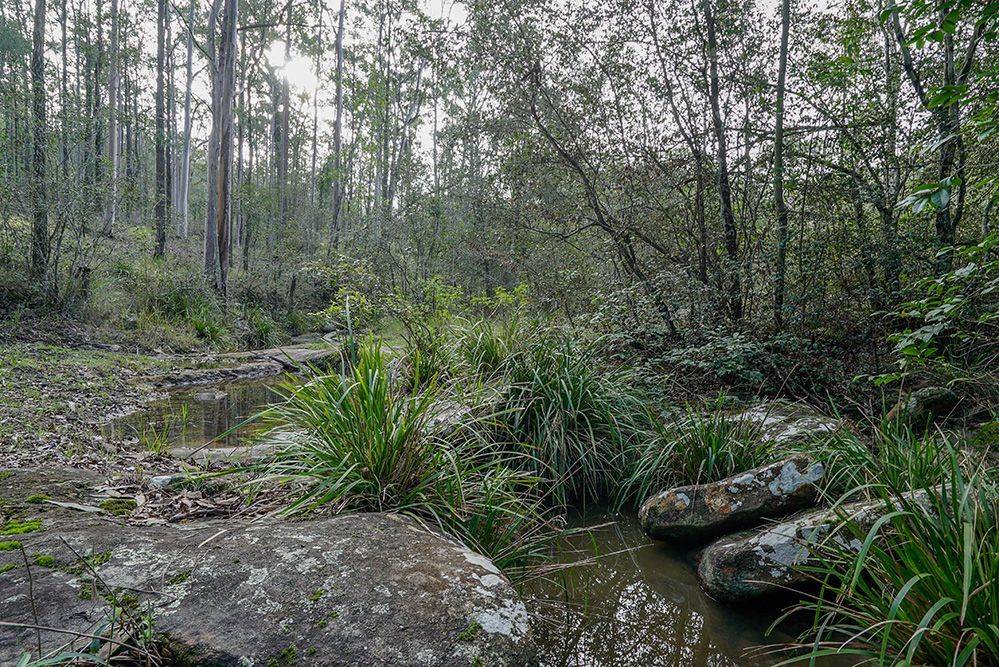 202 Summer Hill Road, Vacy For Sale by Farmbuy.com - image 29