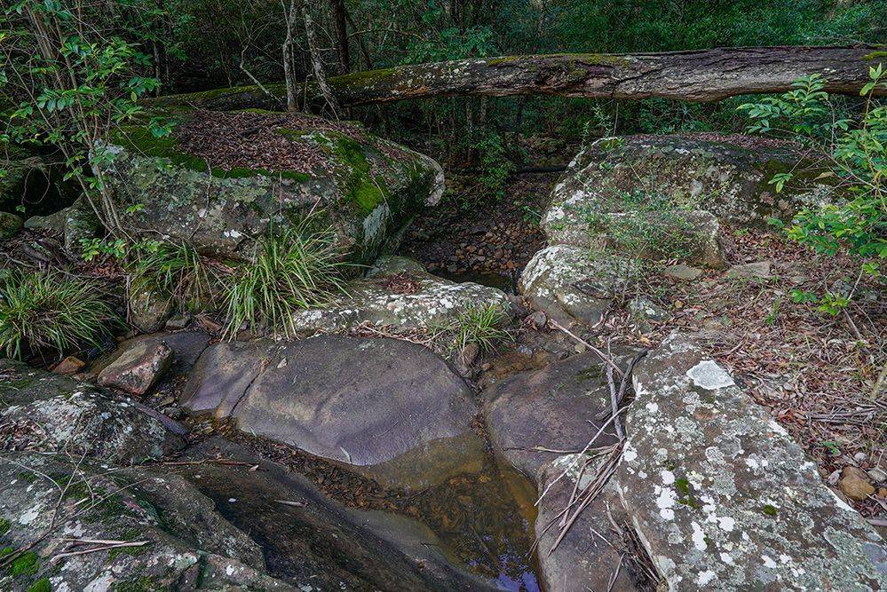 202 Summer Hill Road, Vacy For Sale by Farmbuy.com - image 30