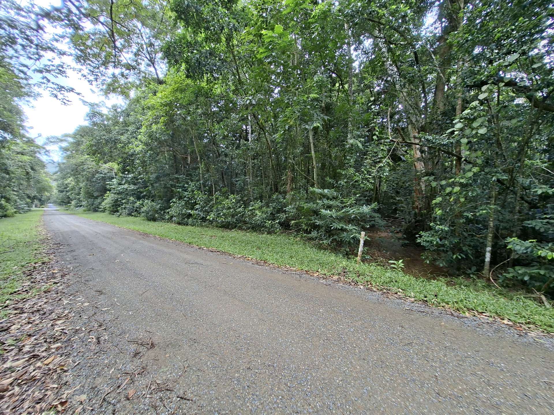 Lot 140 Quandong Road, Cow Bay, Daintree Sold by Farmbuy.com - image 3