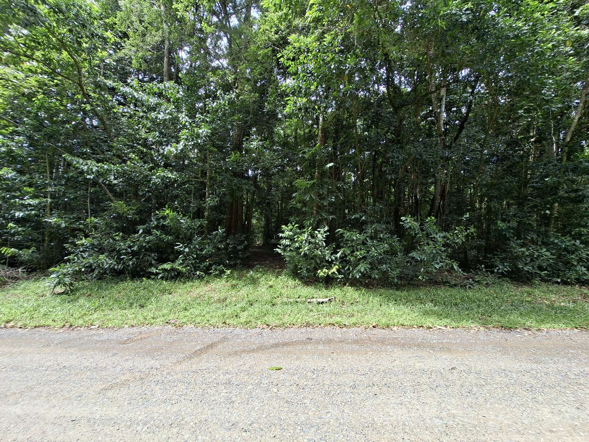 Lot 140 Quandong Road, Cow Bay, Daintree Sold by Farmbuy.com - image 11