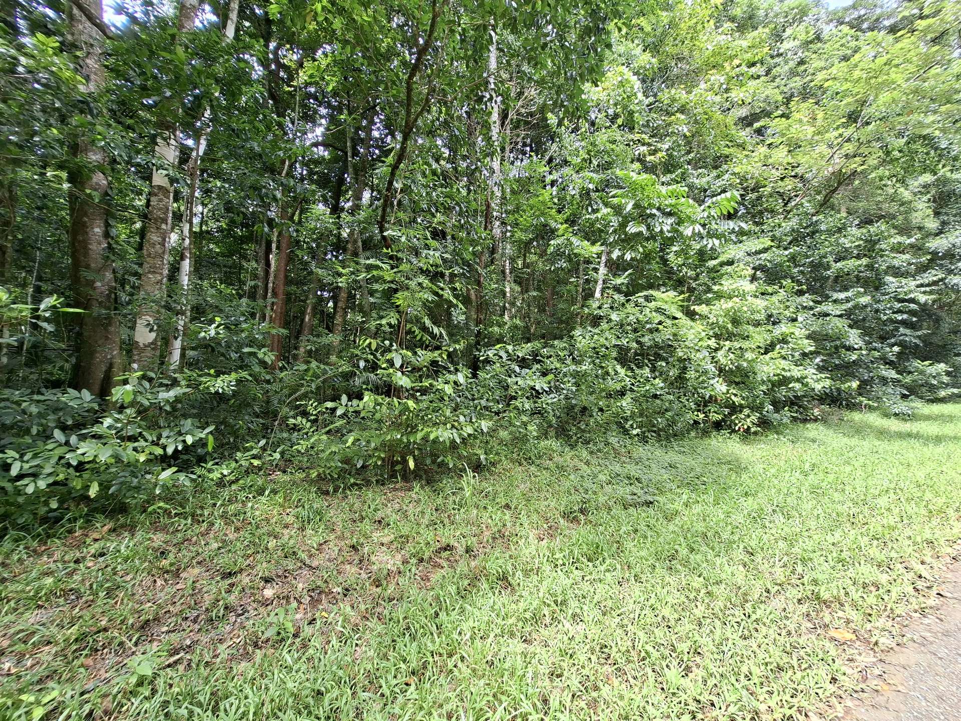 Lot 140 Quandong Road, Cow Bay, Daintree Sold by Farmbuy.com - image 12