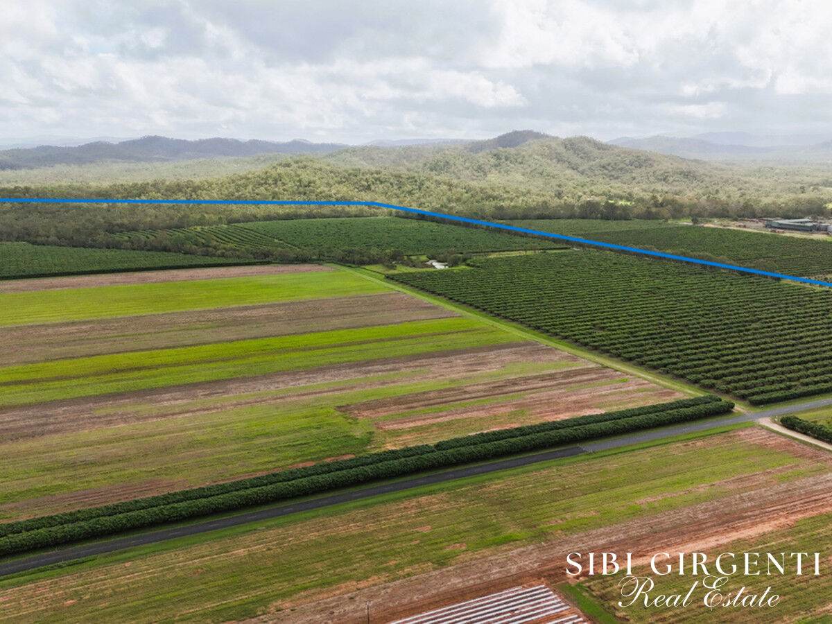 Lot 262,  Gilmore Road, Mareeba For Sale by Farmbuy.com - image 6