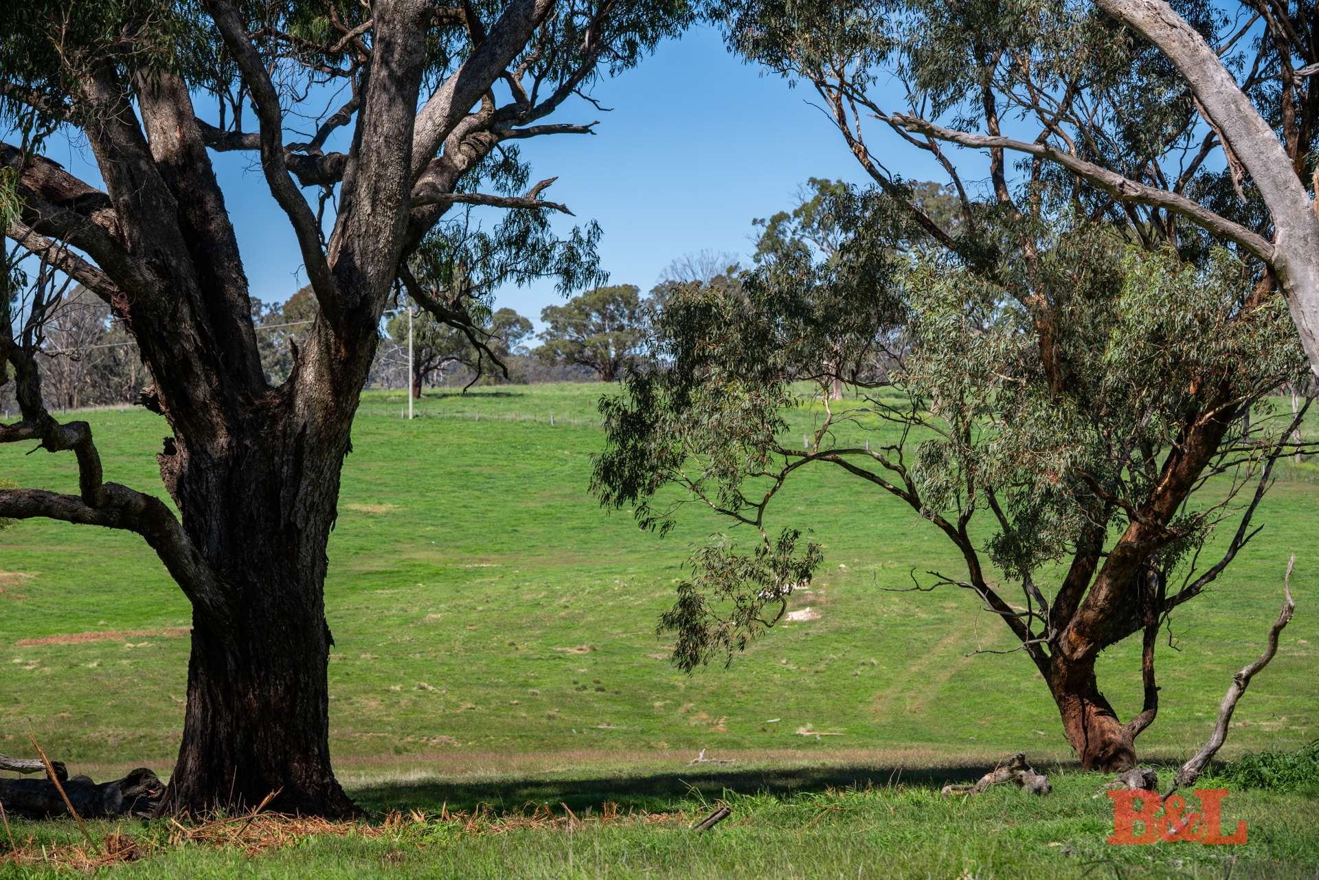 Part 1711 Rockley Road, Fosters Valley Sold by Farmbuy.com - image 9