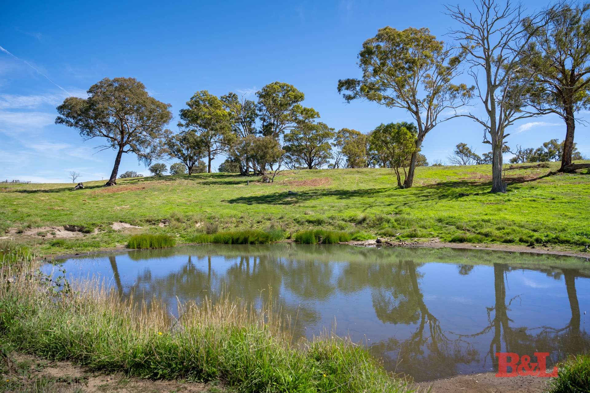 Part 1711 Rockley Road, Fosters Valley Sold by Farmbuy.com - image 24