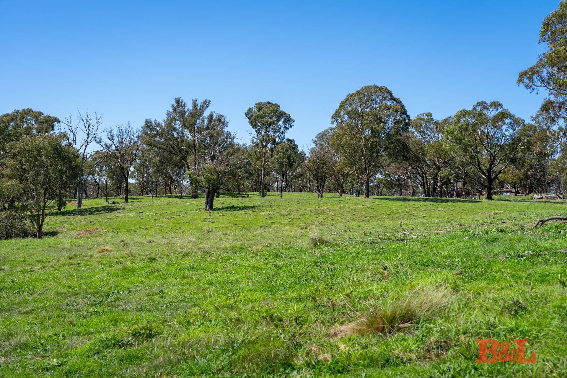 Part 1711 Rockley Road, Fosters Valley Sold by Farmbuy.com - image 12