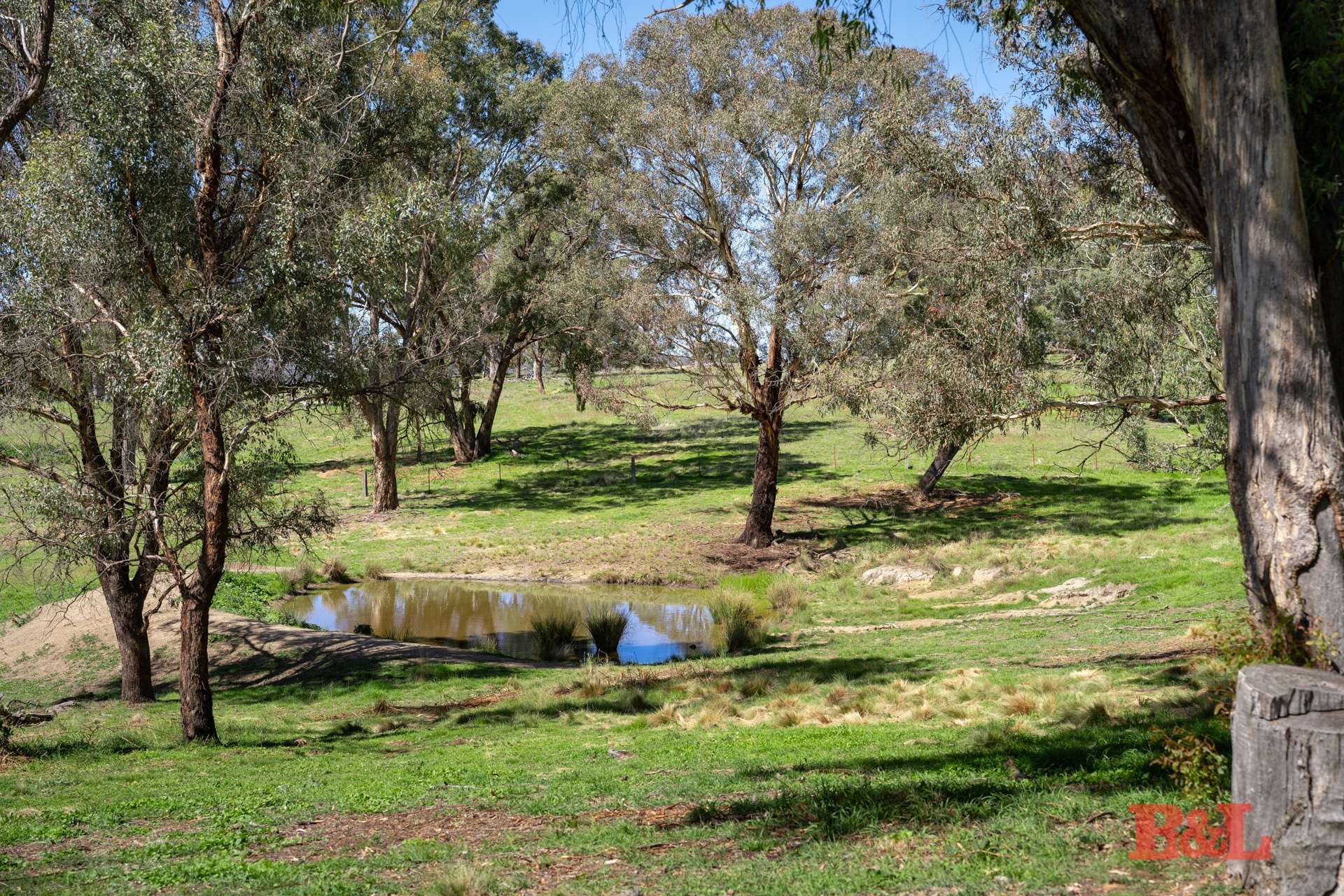 Part 1711 Rockley Road, Fosters Valley Sold by Farmbuy.com - image 13