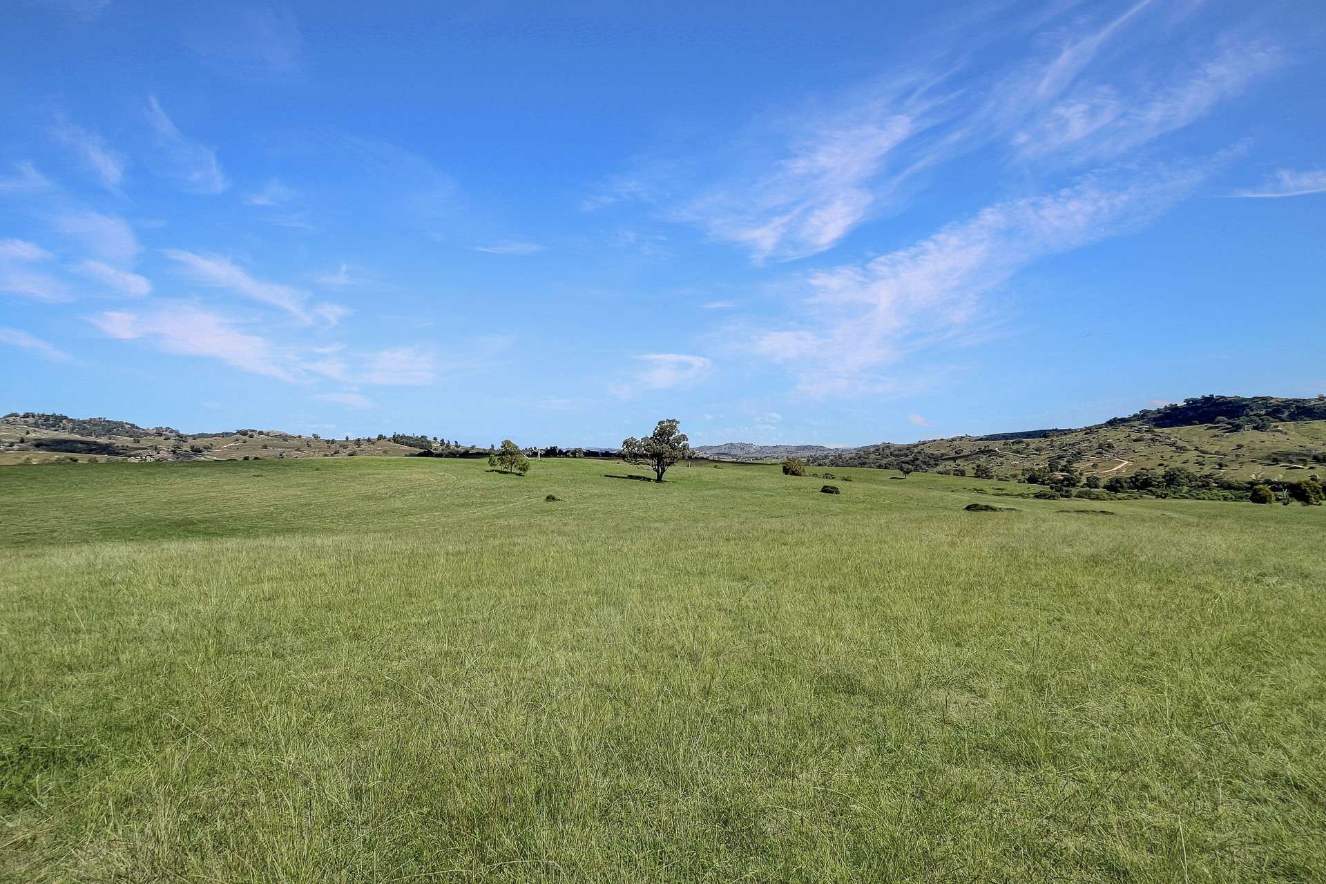 Mount Mcdonald Road, Wyangala For Sale by Farmbuy.com - image 14