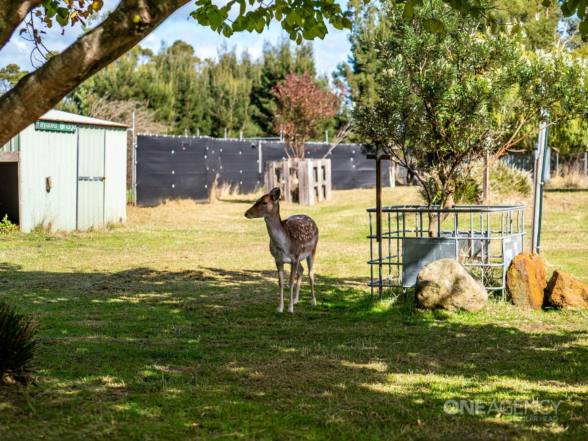 48 Leesville Road, Smithton For Sale by Farmbuy.com - image 17