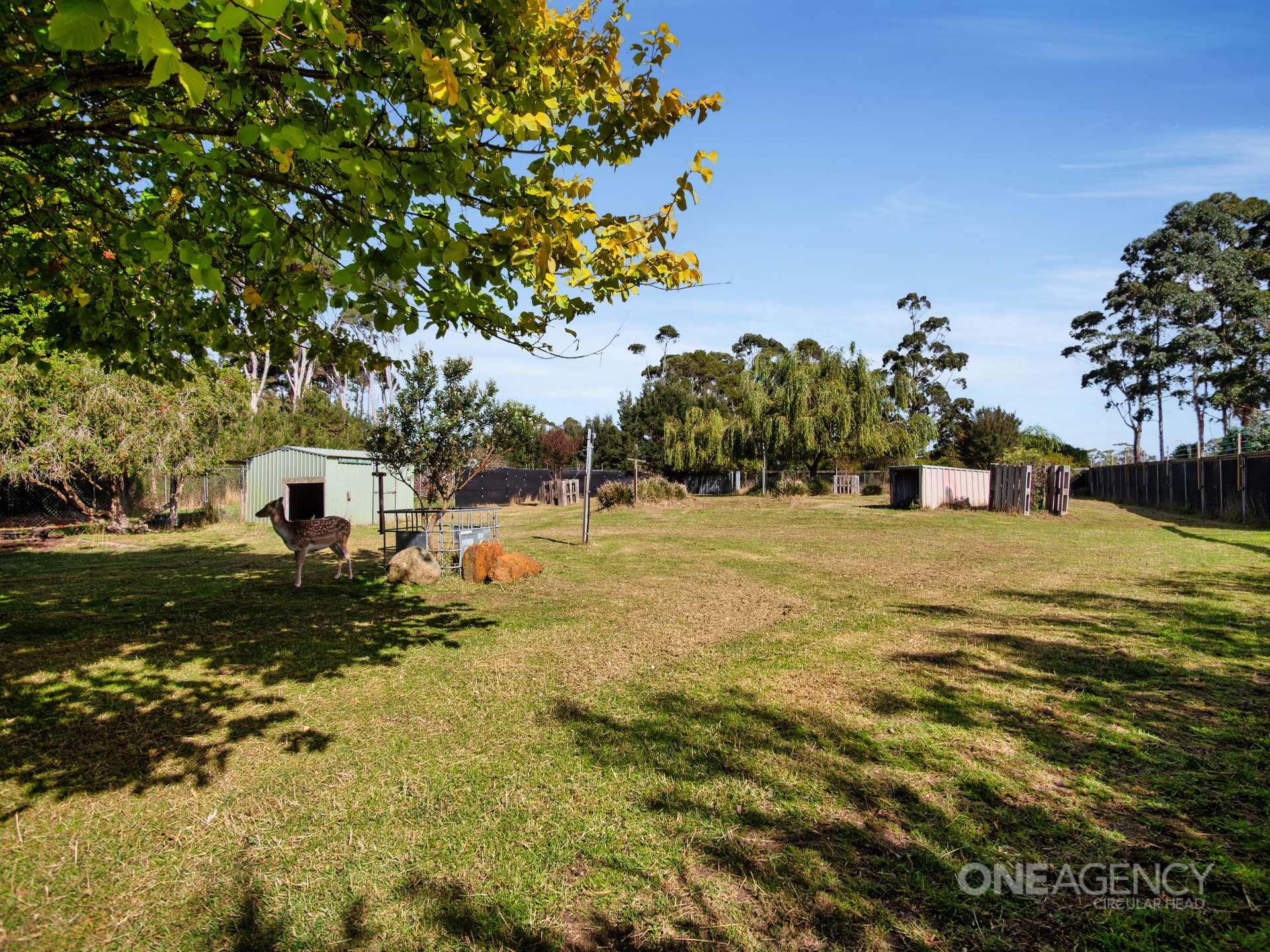 48 Leesville Road, Smithton For Sale by Farmbuy.com - image 18