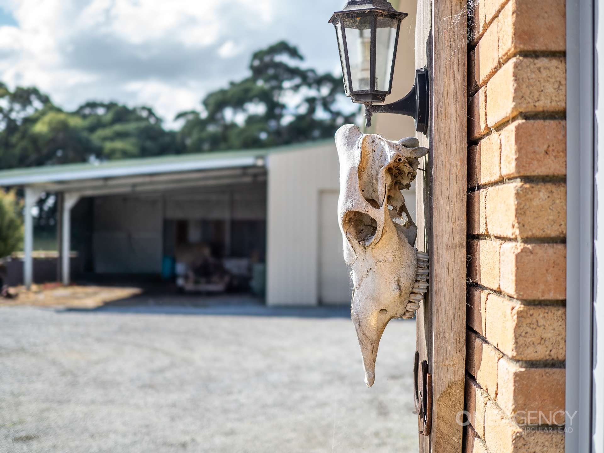 48 Leesville Road, Smithton For Sale by Farmbuy.com - image 6