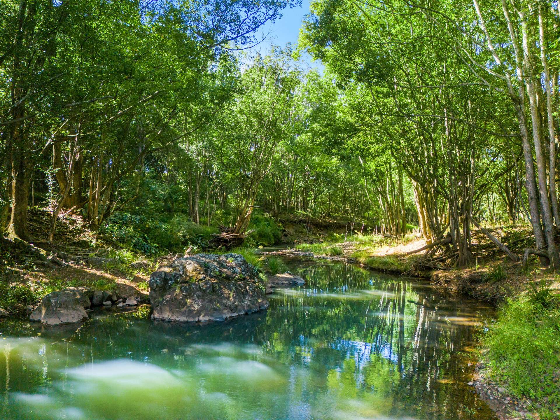154 Tuntable Creek Road, The Channon For Sale by Farmbuy.com - image 3