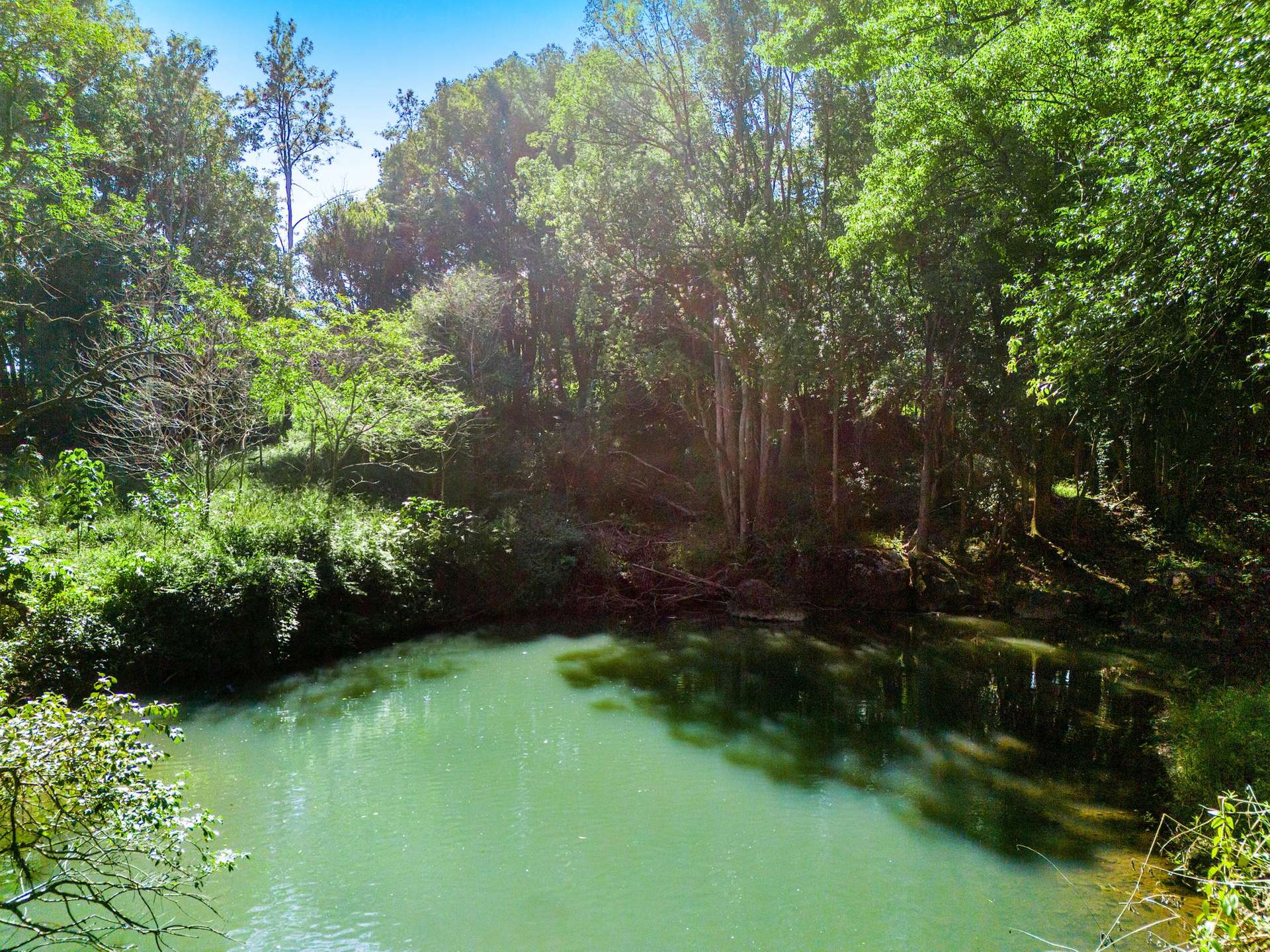 154 Tuntable Creek Road, The Channon For Sale by Farmbuy.com - image 26