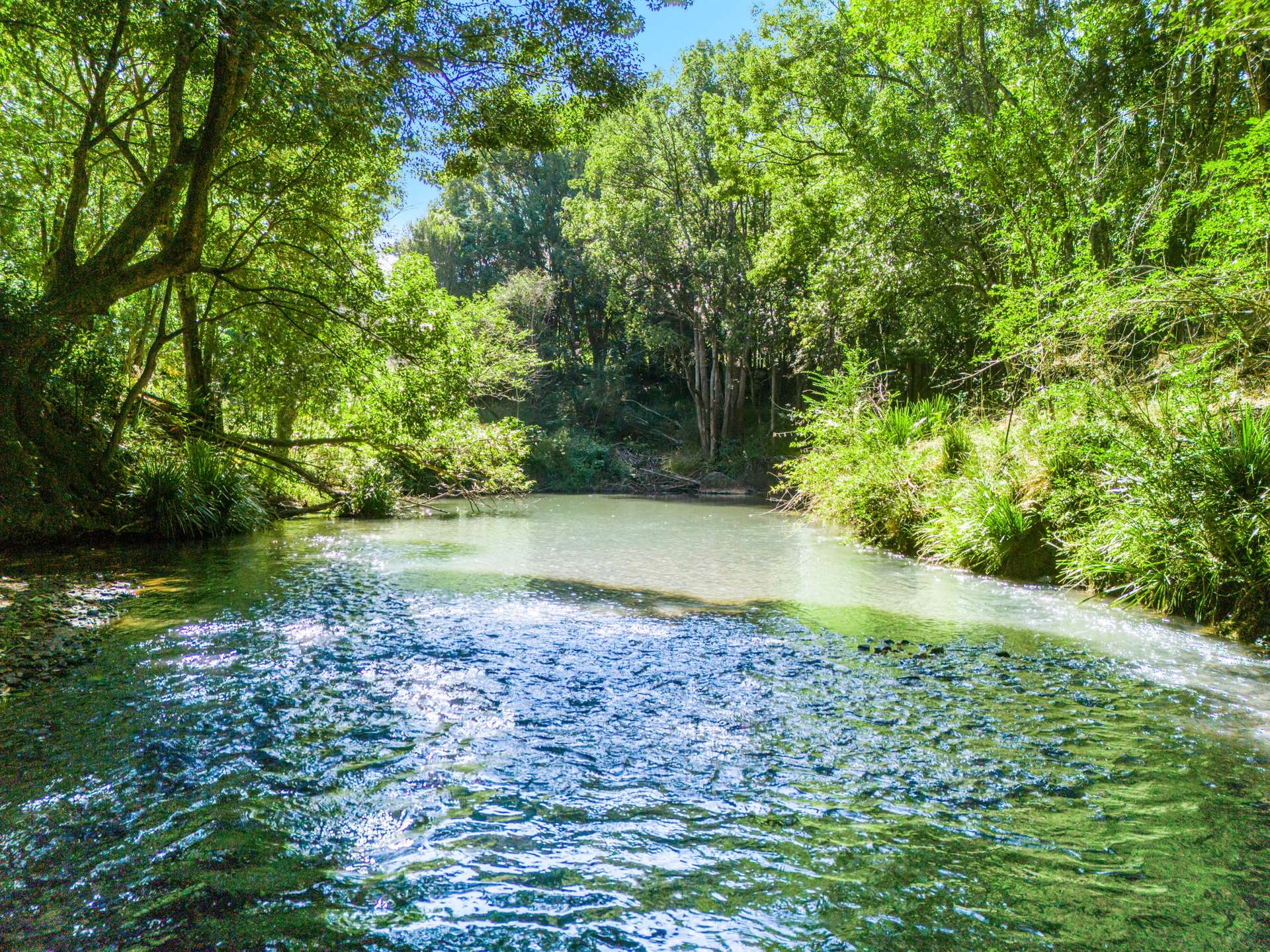 154 Tuntable Creek Road, The Channon For Sale by Farmbuy.com - image 25