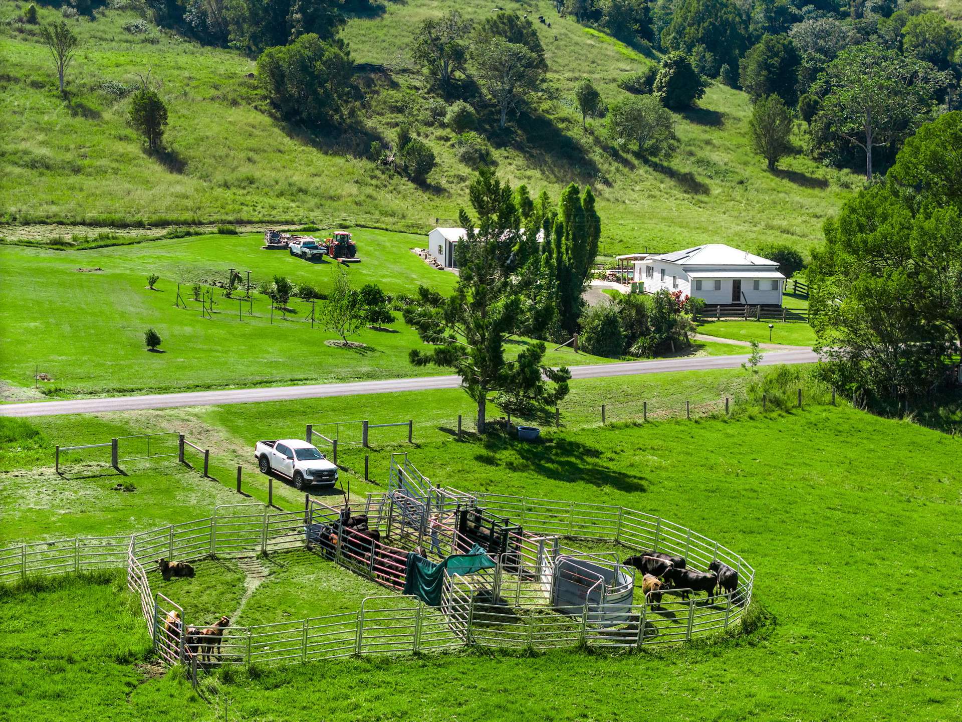 154 Tuntable Creek Road, The Channon For Sale by Farmbuy.com - image 29