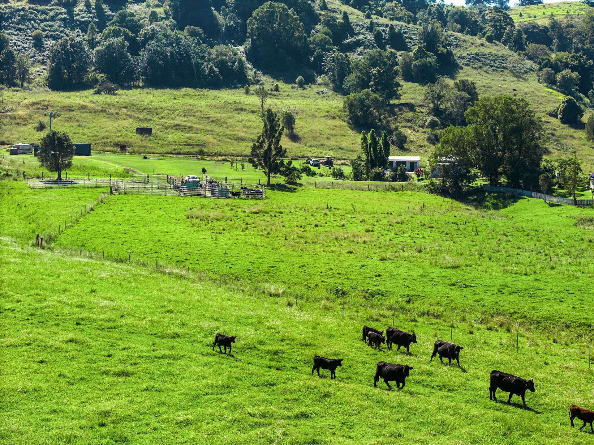 154 Tuntable Creek Road, The Channon For Sale by Farmbuy.com - image 30