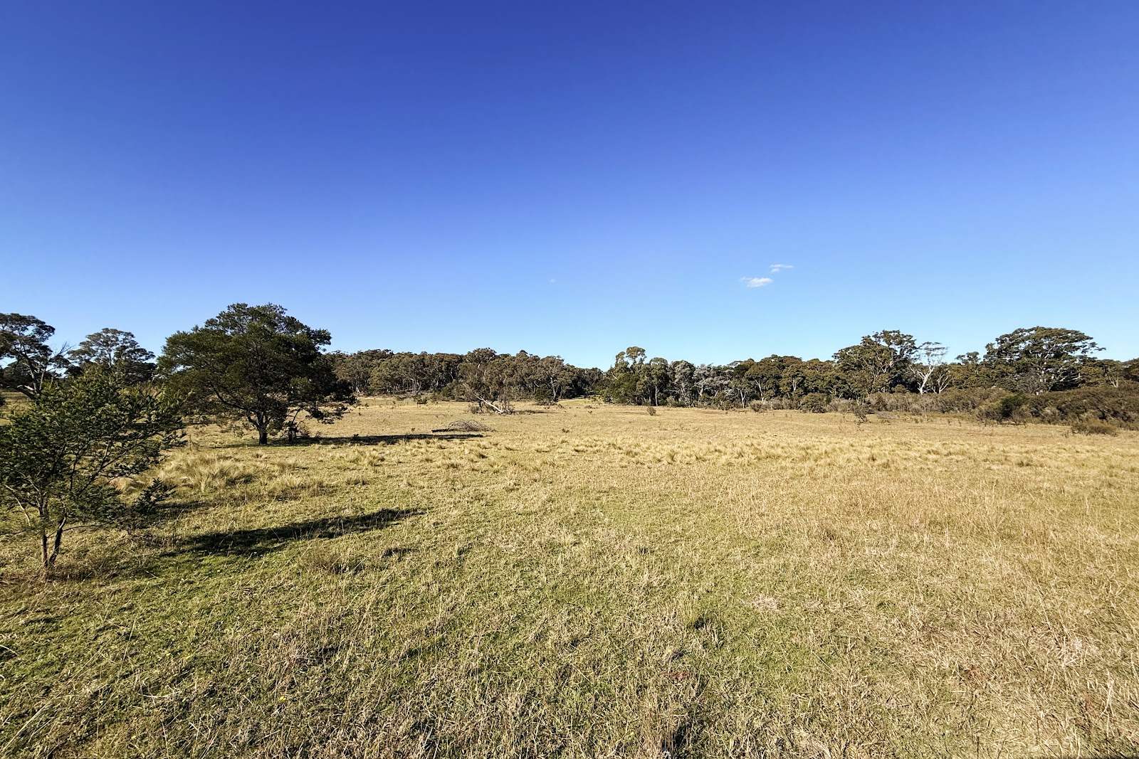 209/868 Jerrara Road, Marulan For Sale by Farmbuy.com - image 7