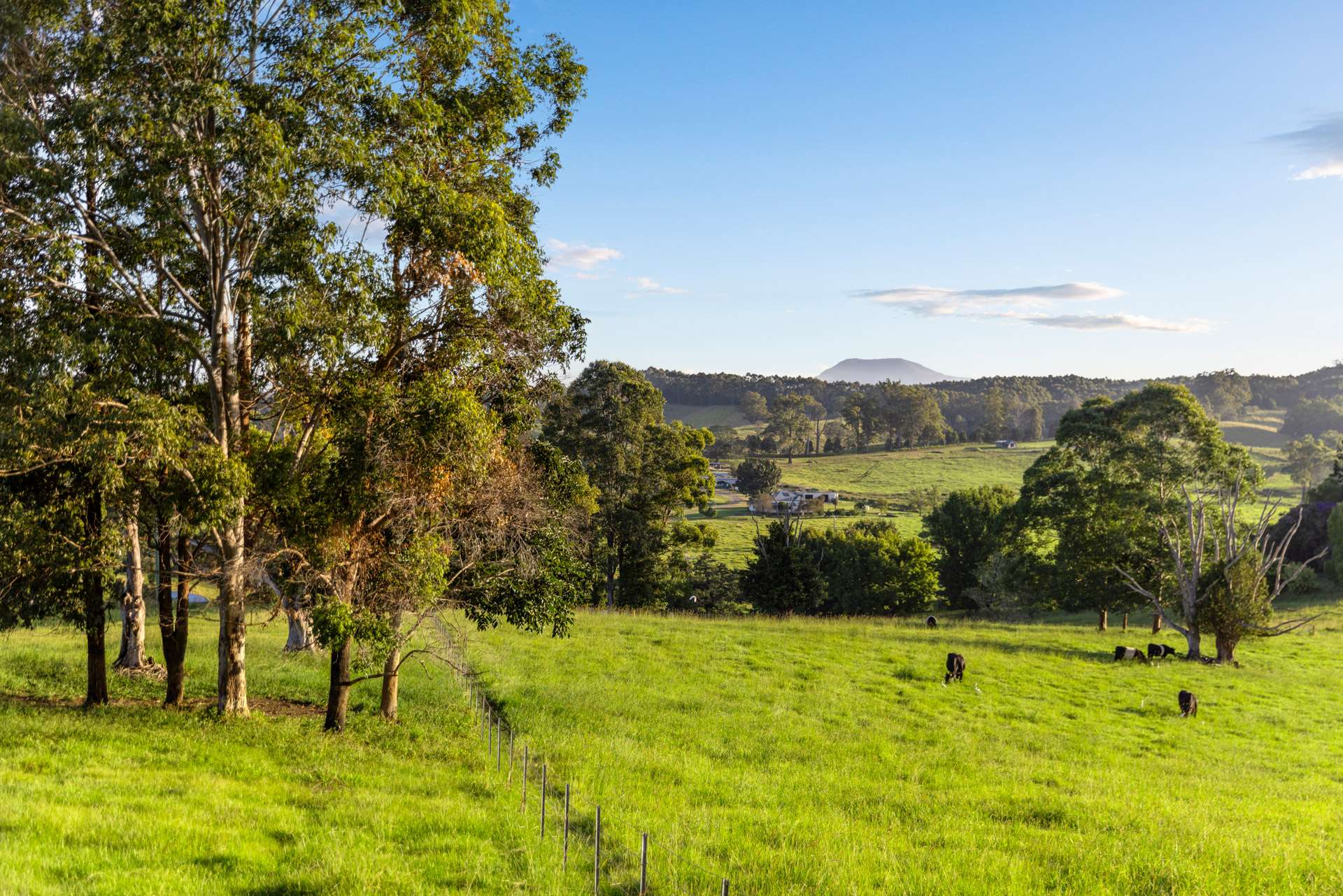 423 Hydes Creek Road, Bellingen For Sale by Farmbuy.com - image 31