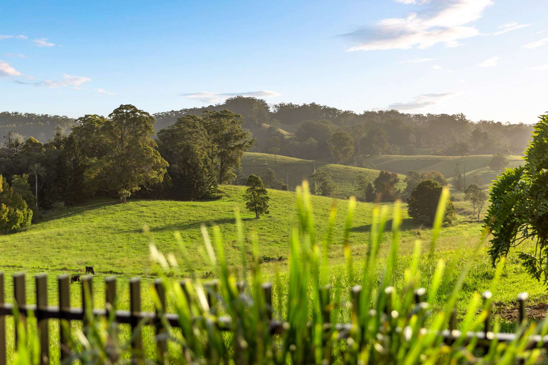 423 Hydes Creek Road, Bellingen For Sale by Farmbuy.com - image 5