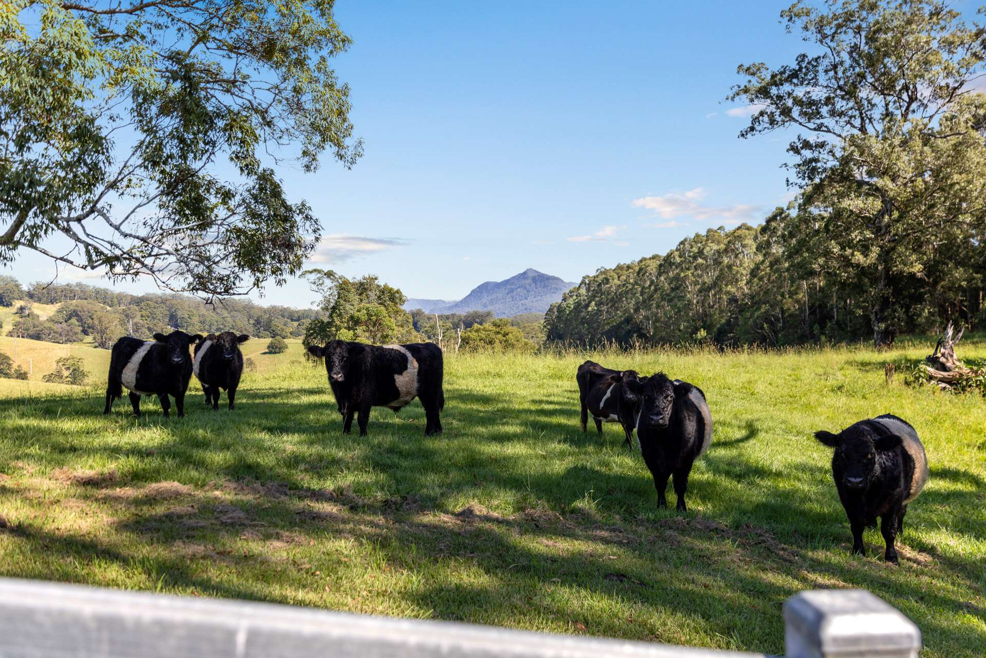 423 Hydes Creek Road, Bellingen For Sale by Farmbuy.com - image 28