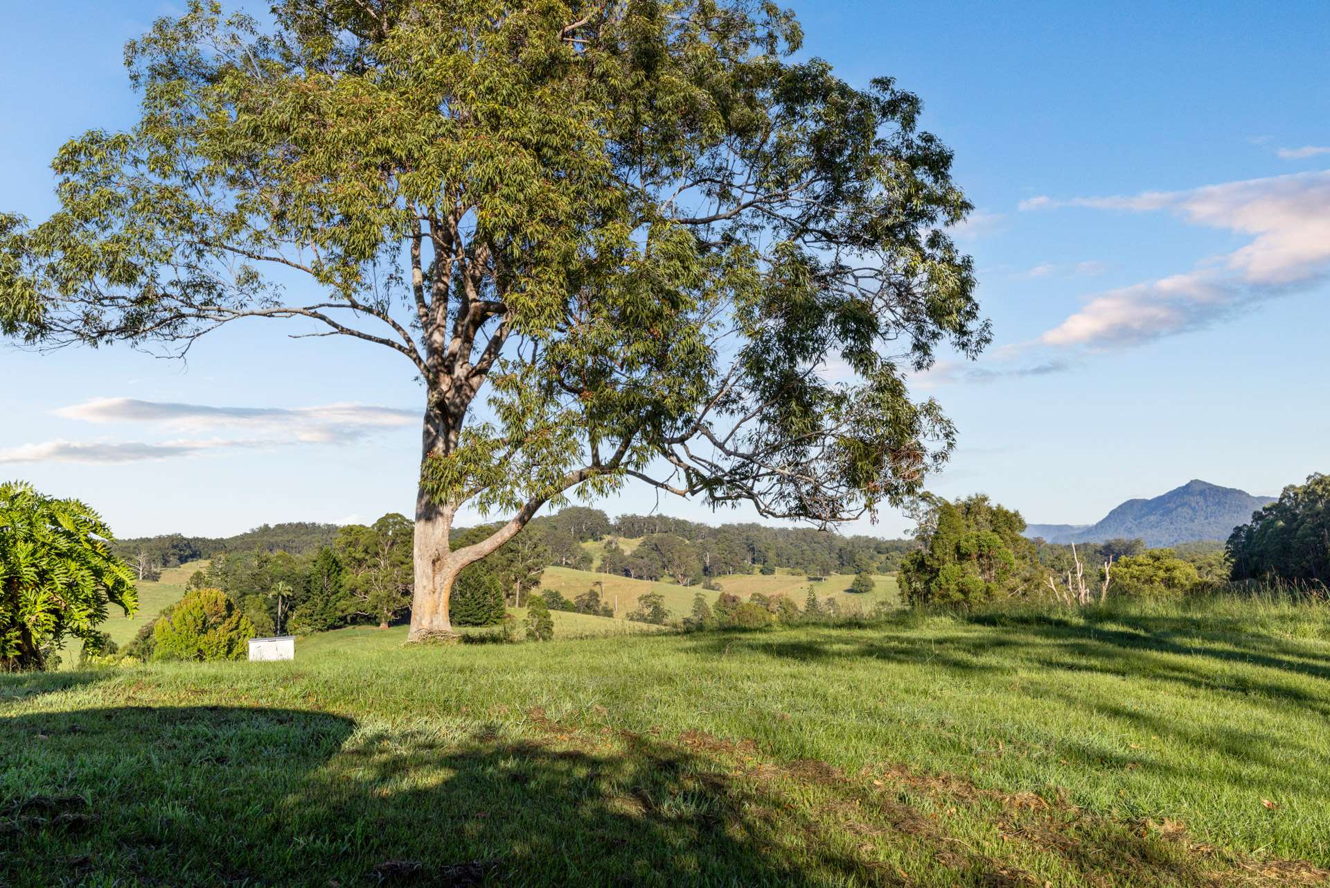423 Hydes Creek Road, Bellingen For Sale by Farmbuy.com - image 30