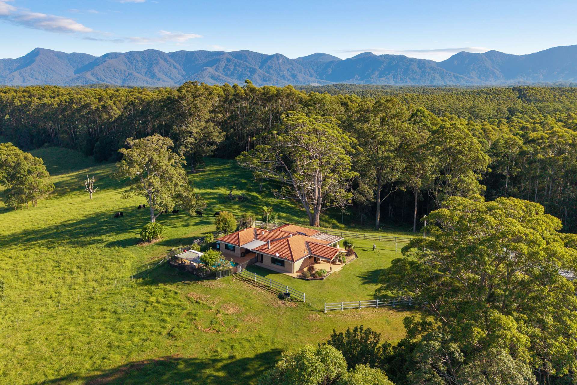 423 Hydes Creek Road, Bellingen For Sale by Farmbuy.com - image 1