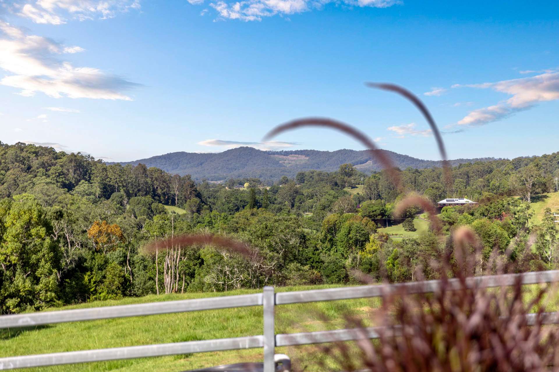 423 Hydes Creek Road, Bellingen For Sale by Farmbuy.com - image 12