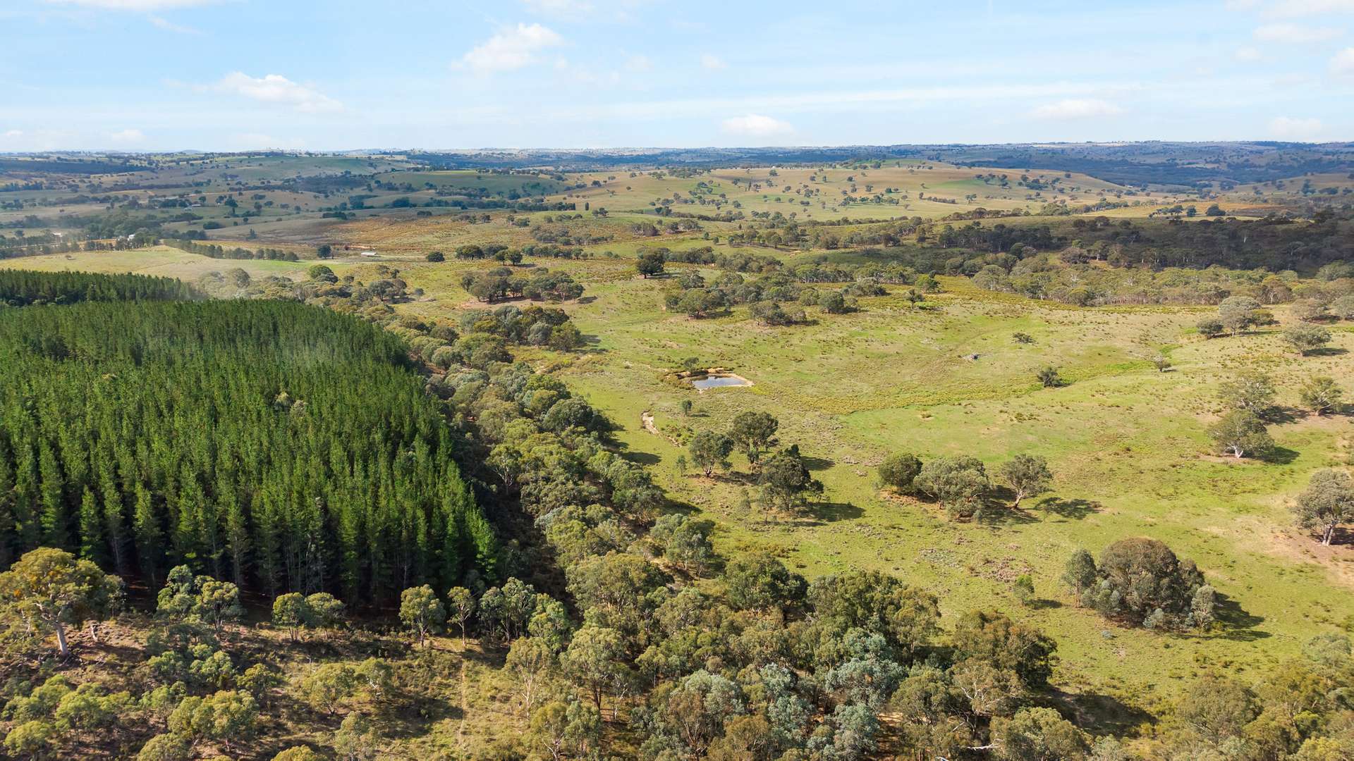 1911 Rugby Road, BEVANDALE, Crookwell For Sale by Farmbuy.com - image 27