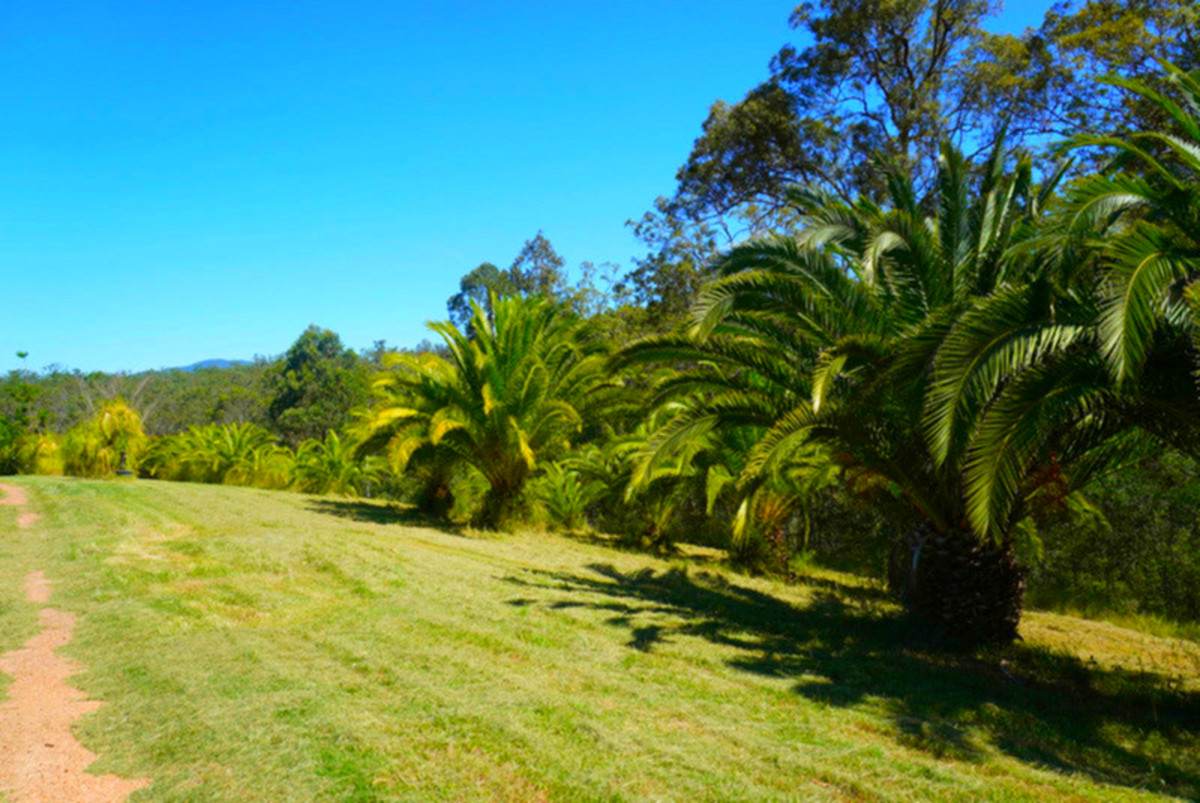 619 Bulldog Road, Bulldog For Sale by Farmbuy.com - image 4
