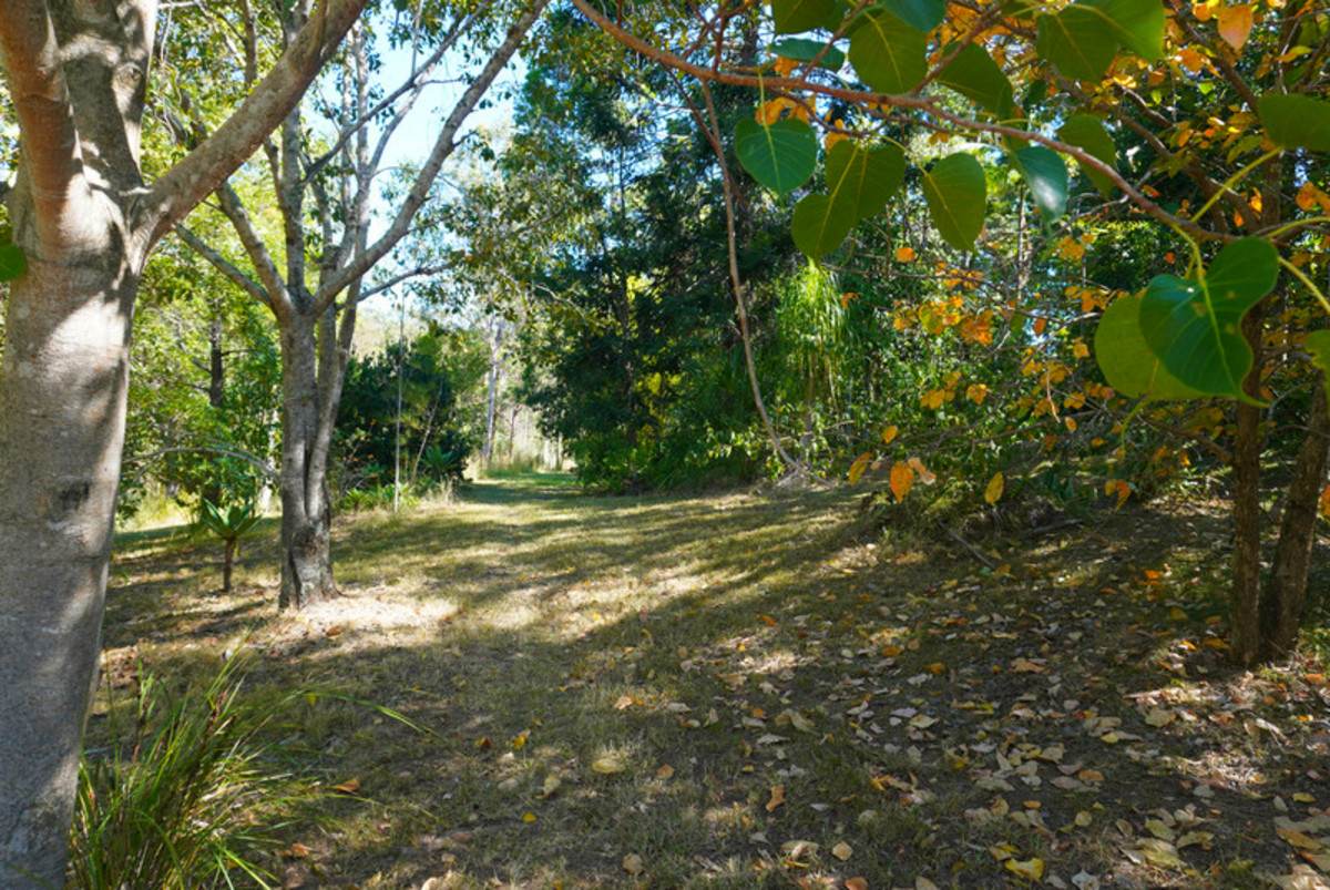 619 Bulldog Road, Bulldog For Sale by Farmbuy.com - image 31