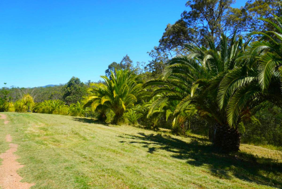 619 Bulldog Road, Bulldog For Sale by Farmbuy.com - image 23