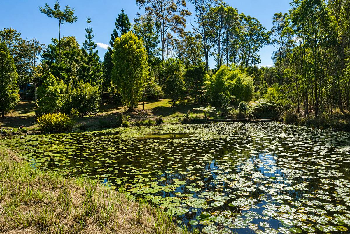 619 Bulldog Road, Bulldog For Sale by Farmbuy.com - image 2