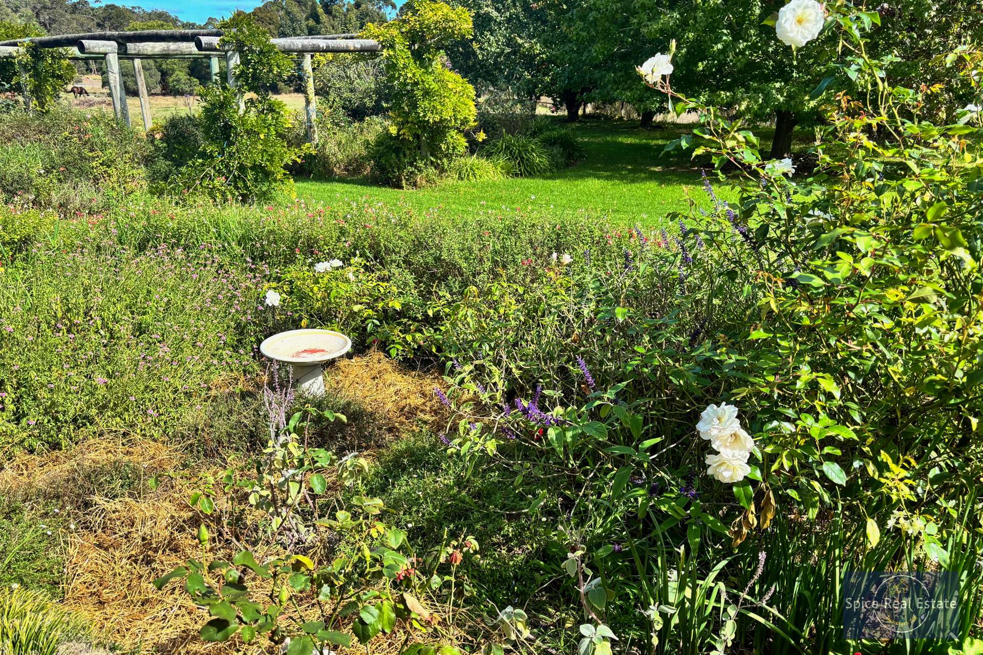 124 Sheoak Drive, Hay For Sale by Farmbuy.com - image 24