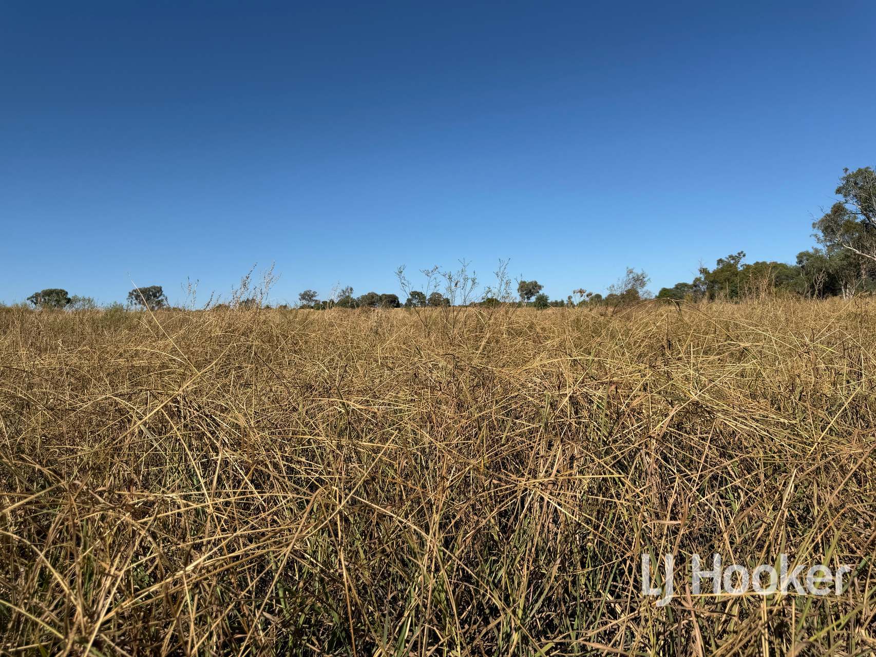 Gwydir Highway, Inverell For Sale by Farmbuy.com - image 18